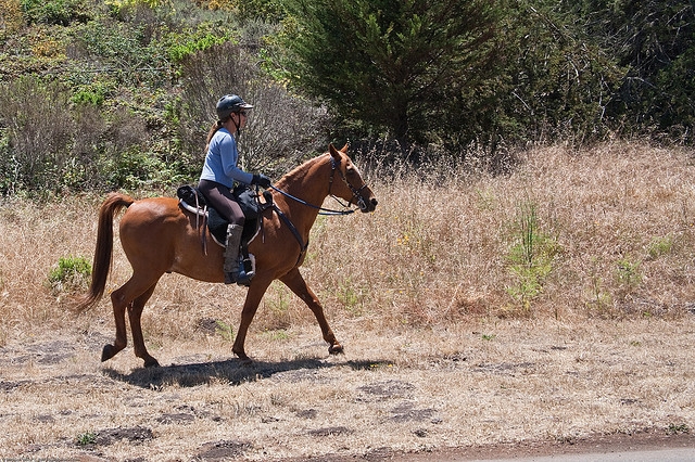  Horseback riding excursions in La Rioja 